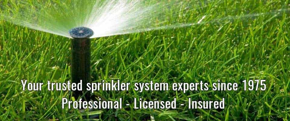 Professional Service